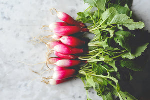 Radish - bunched French breakfast