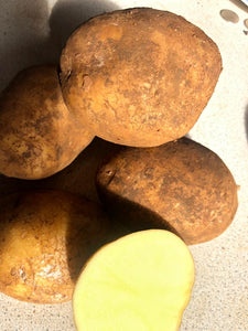 Potatoes - General purpose