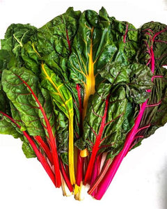 Red Chard - bunched
