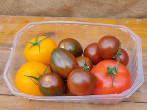 Tomatoes - Variety Pack